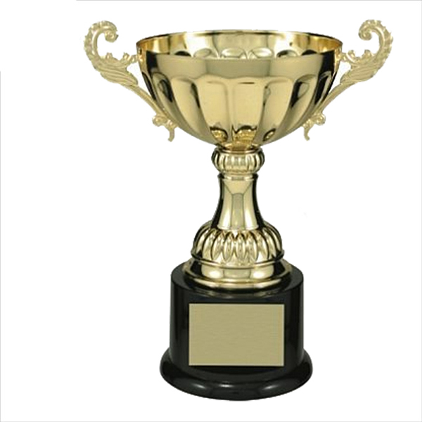 Trophy No. 5